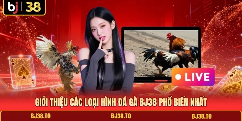 Giới thiệu các loại hình đá gà BJ38 phổ biến nhất