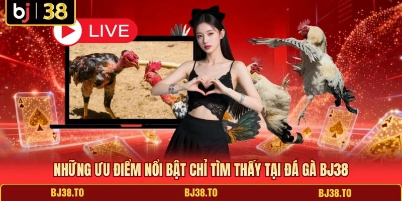Những ưu điểm nổi bật chỉ tìm thấy tại đá gà BJ38